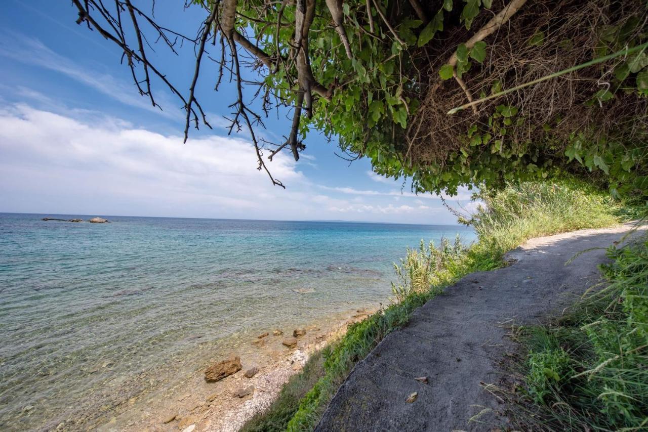 Ionian Aura Aparthotel Tsilivi  Luaran gambar