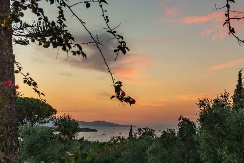 Ionian Aura Aparthotel Tsilivi  Luaran gambar